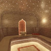 Стал доступен для покупки комплект подсветки Звездное небо.